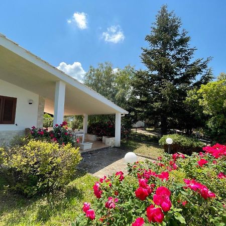 Rose Country Villa Cassano delle Murge Exterior photo